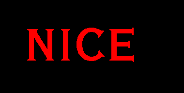 niceNdead's logo
