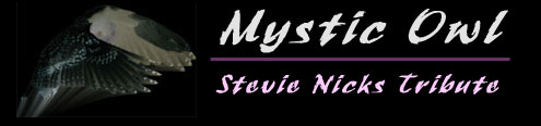 Stevie Nicks Tribute Mystic Owl 's logo