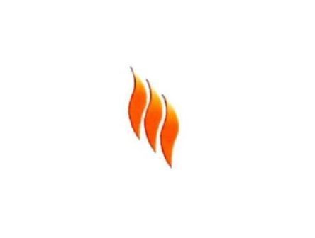 1000fires's logo