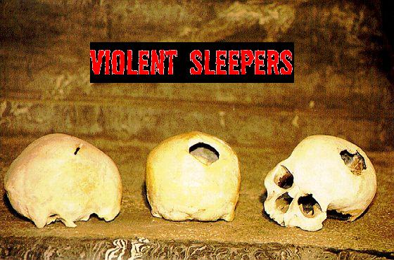 violent sleepers's logo