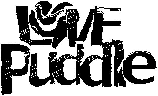 love puddle's logo
