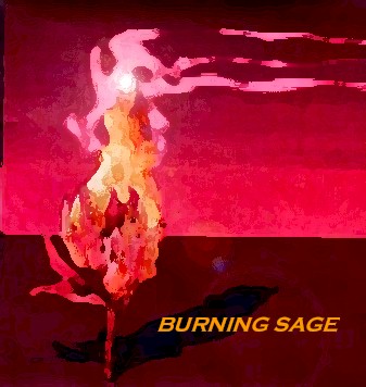 The Burning Sage Band's logo