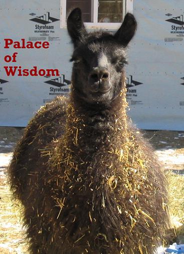 Palace of Wisdom's logo