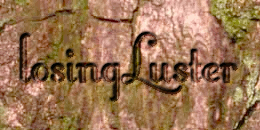 losing luster's logo