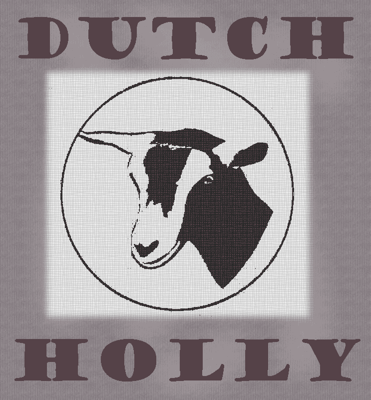 Dutch Holly's logo