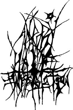 Angry Hate Infestation's logo