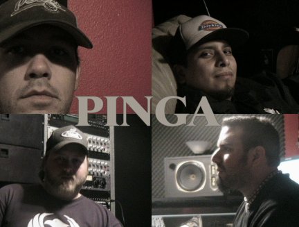 PINGA's logo