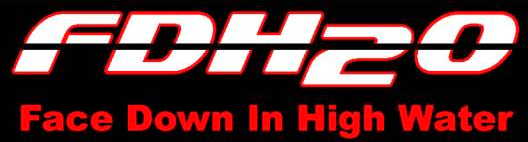 Face Down in High Water ( fdh2o )'s logo