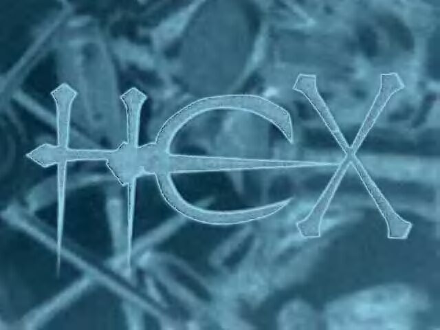 HEX's logo