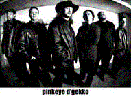 pinkeye d'gekko's logo