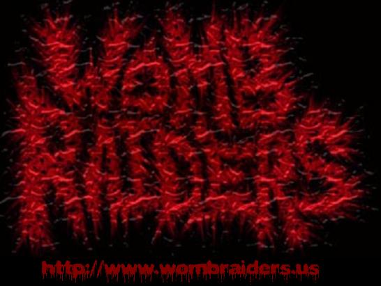 Womb Raiders's logo