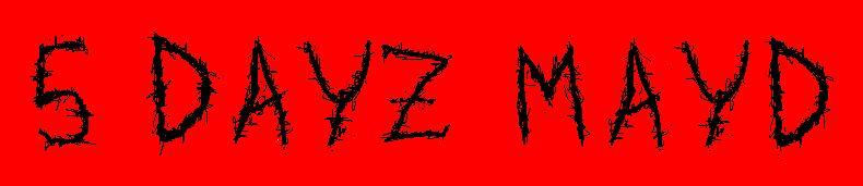 5 Dayz Mayd's logo