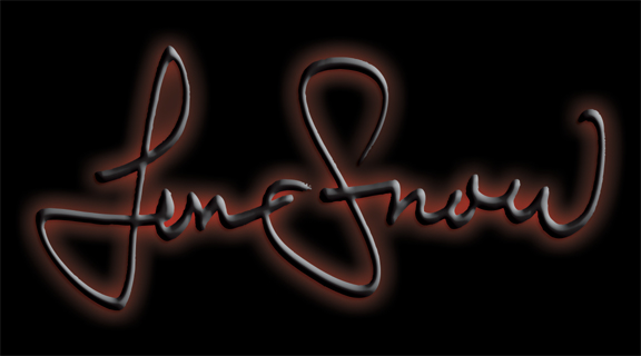 Len Snow Jr.'s logo