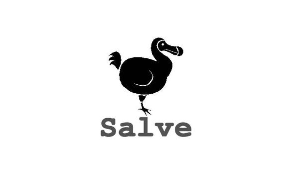 Salve's logo