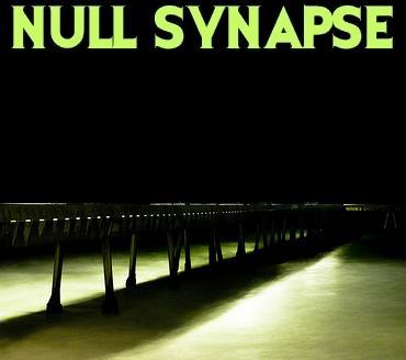 Null Synapse's logo