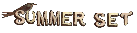 Summer Set's logo