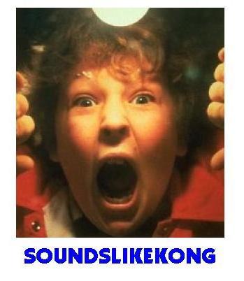 Sounds Like Kong's logo